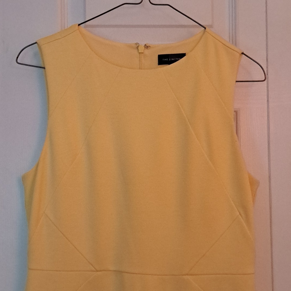 The Limited Dress - Picture 2 of 7